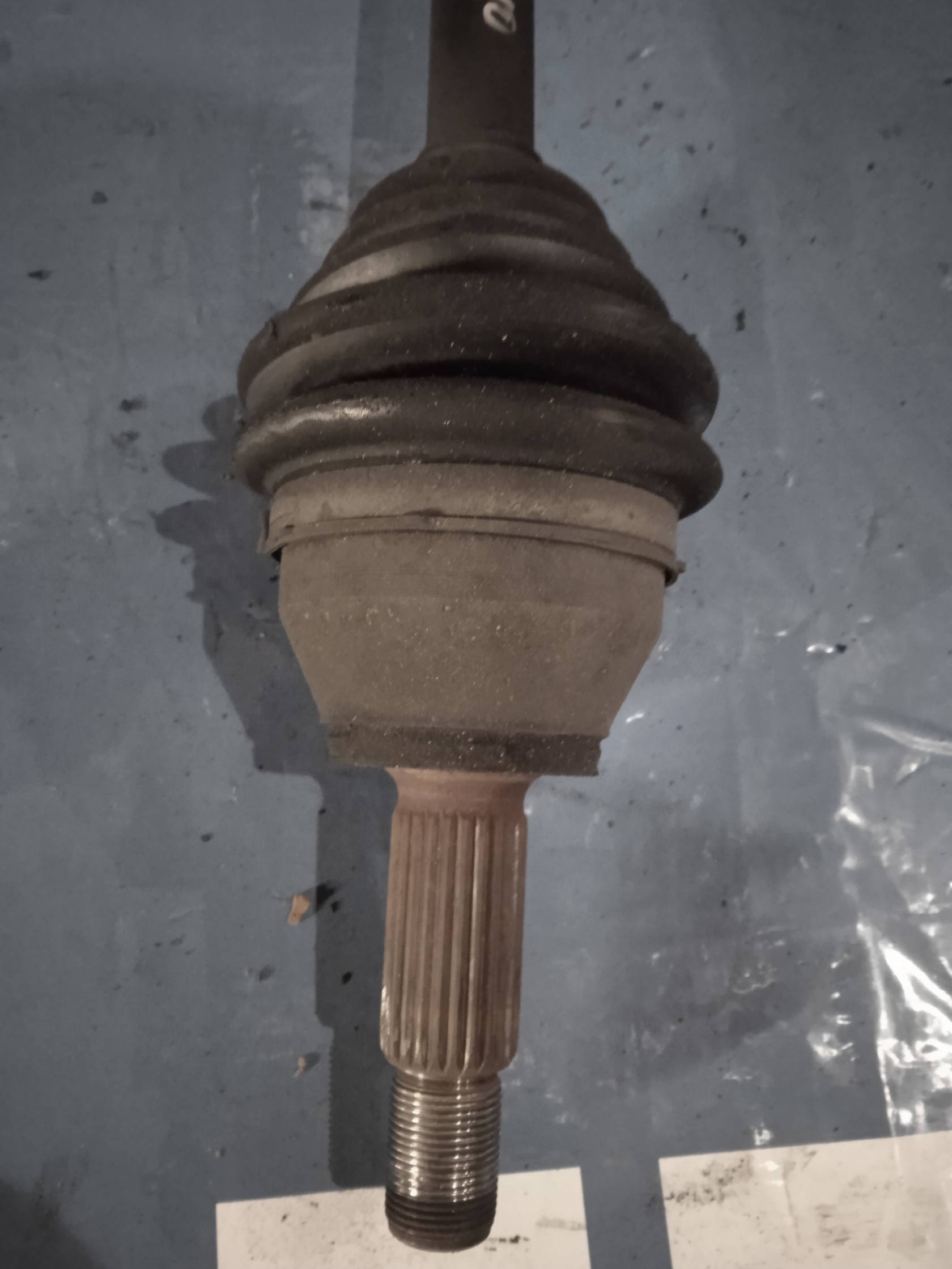 Semialbero ant. compl. dx.